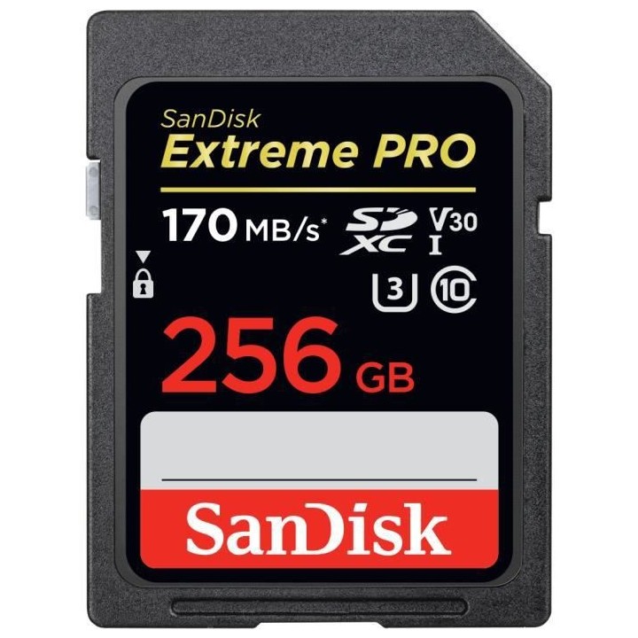 Carte mémoire flash - SANDISK - - 256GB - - (SDSDXXY-256G-GN4IN)