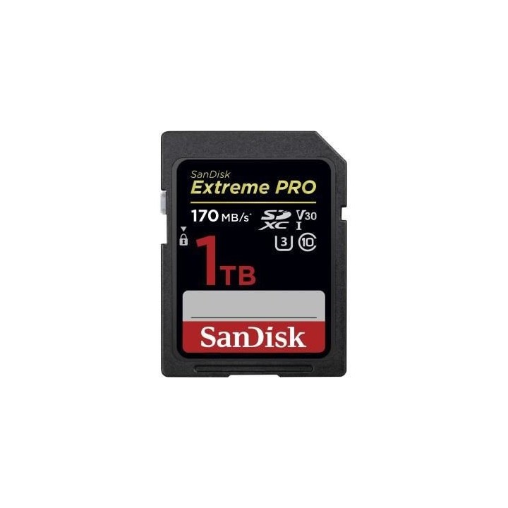 Carte mémoire flash - SANDISK - - 1TB - - (SDSDXXY-1T00-GN4IN)