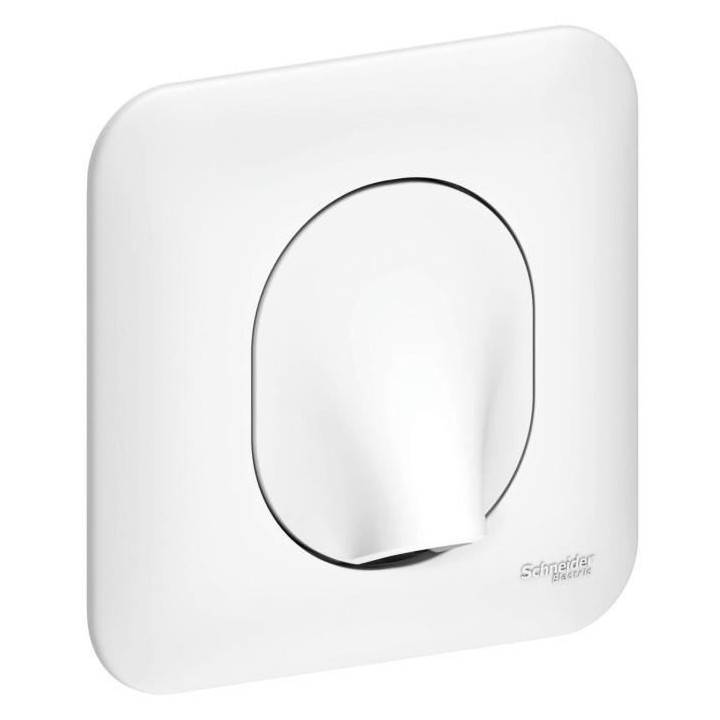 SCHNEIDER ELECTRIC Sortie de câble Ovalis