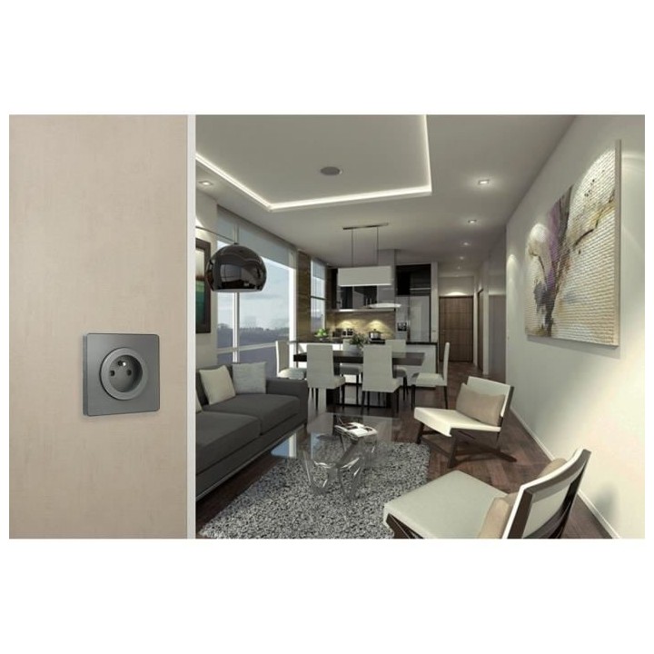 SCHNEIDER ELECTRIC Prise de courant 2 pôles + terre Odace anthracite