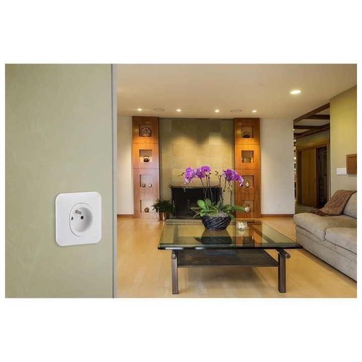 SCHNEIDER ELECTRIC Prise de courant avec terre Ovalis complet 230 V