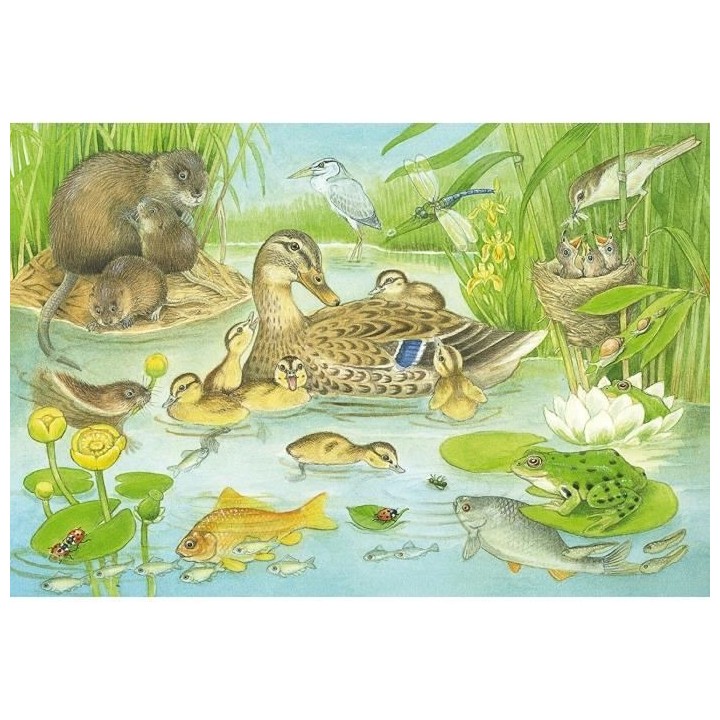 SCHMIDT AND SPIELE Puzzle enfant - Familles d'animaux - 3x48 pcs