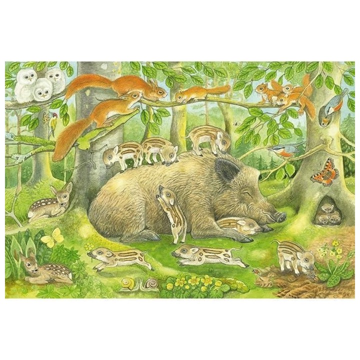 SCHMIDT AND SPIELE Puzzle enfant - Familles d'animaux - 3x48 pcs