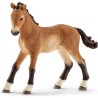 Schleich Figurine 13804 - Animal de la ferme - Poulain Tennessee Walker