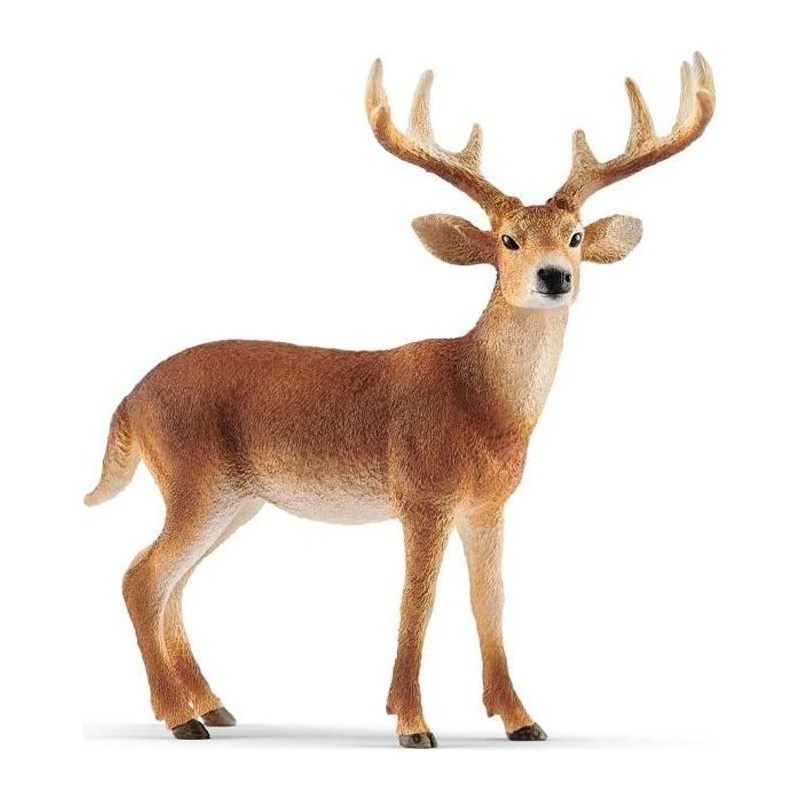 SCHLEICH Wild Life 14818 - Figurine Cerf de Virginie