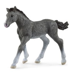 SCHLEICH - Poulain...