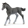 SCHLEICH - Poulain Trakehnen - 13944