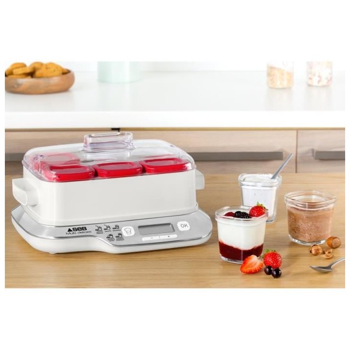 SEB YG660100 Yaourtiere Multidélices Express Compact - 5 modes - 6 po