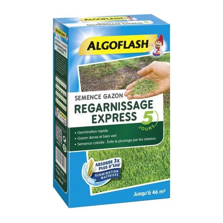 ALGOFLASH - Gazon regarnissant express 5 jours 1kg