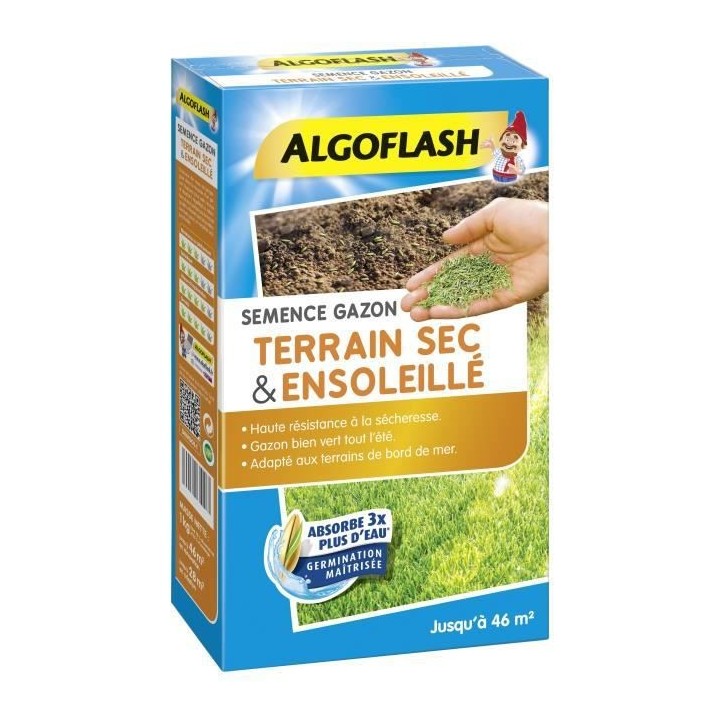 ALGOFLASH - Gazon terrain sec ensoleillé 1kg