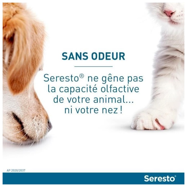 Seresto Chien Collier Anti-Puces et Anti-Tiques -8kg 2 unités