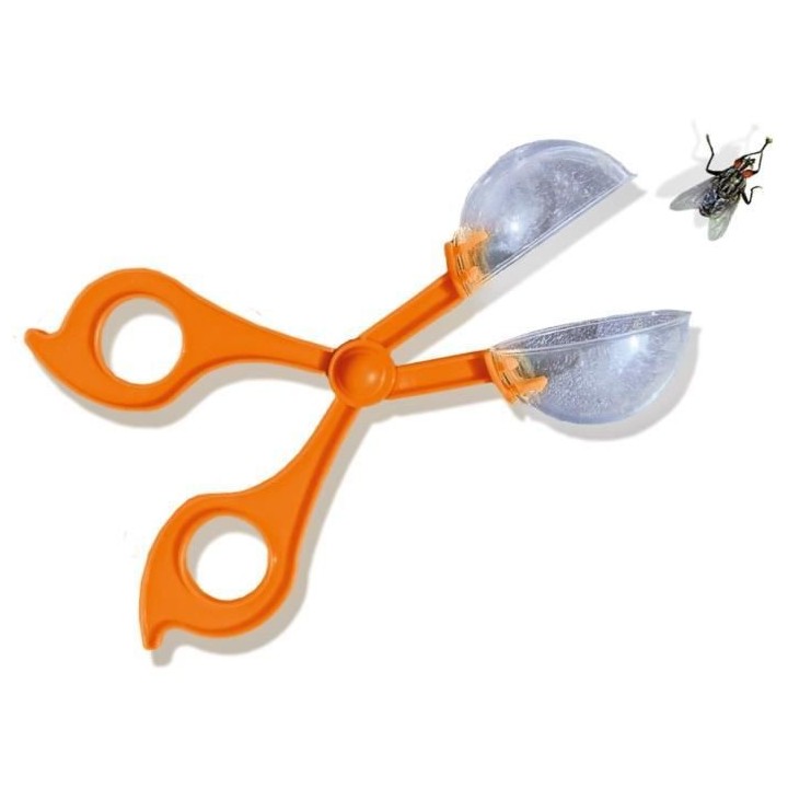 SES CREATIVE - Explorateur d'insectes