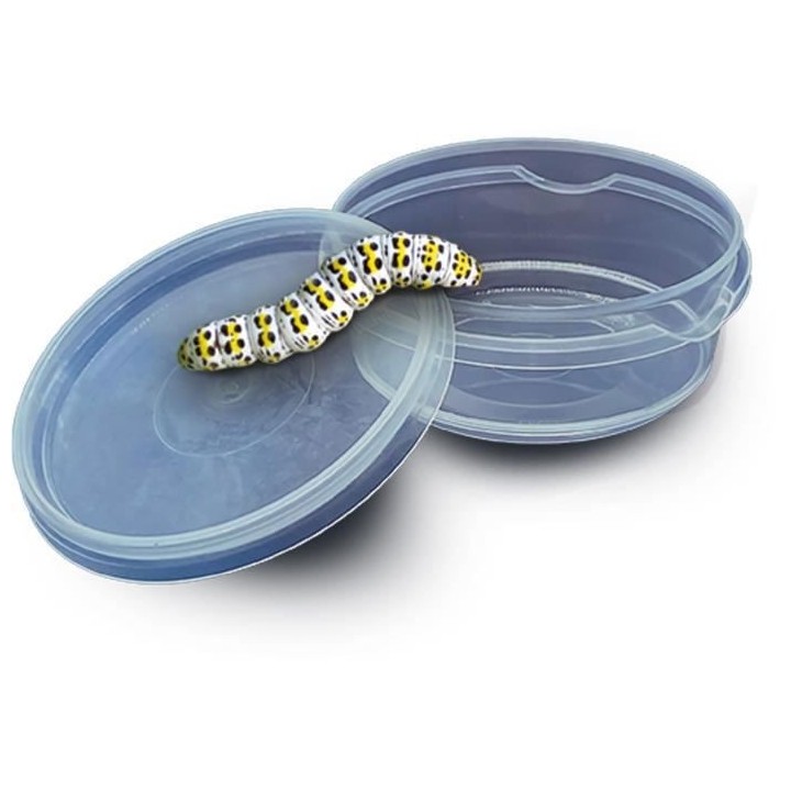 SES CREATIVE - Explorateur d'insectes