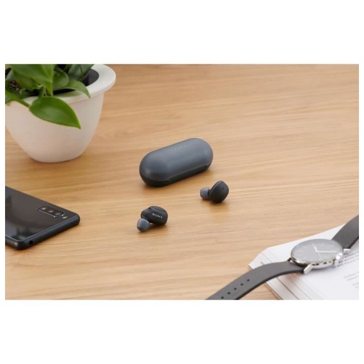 Sony WF-C500 - Ecouteurs bluetooth sans fil - 20h autonomie - Assistan