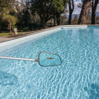 SPOOL Épuisette de surface standard sans mache