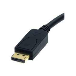 Câble adaptateur DisplayPort vers DVI de 1,8 m - Câble adaptateur DP