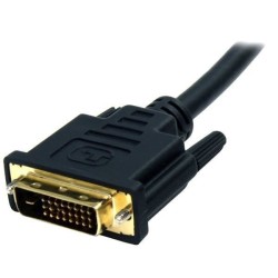 Câble adaptateur DisplayPort vers DVI de 1,8 m - Câble adaptateur DP vers DVI de 1,8 m - Convertisseur DP - 1920 x 1200 - DP2D