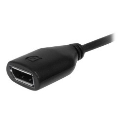 STARTECH.COM Câble adaptateur Mini DiplayPort vers DisplayPort - 15 cm - M / F