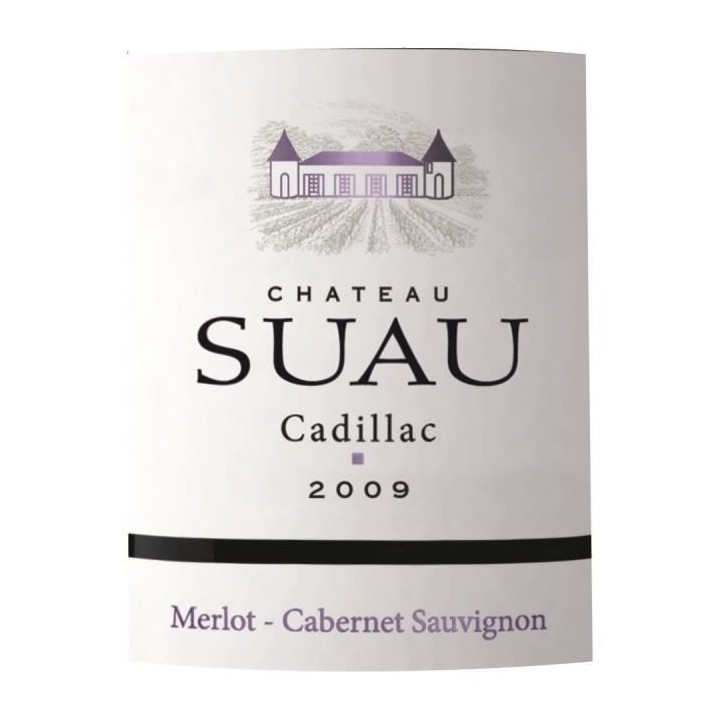 Magnum Château Suau Cadillac 2009 Côtes de Bordeaux - Vin rouge de B