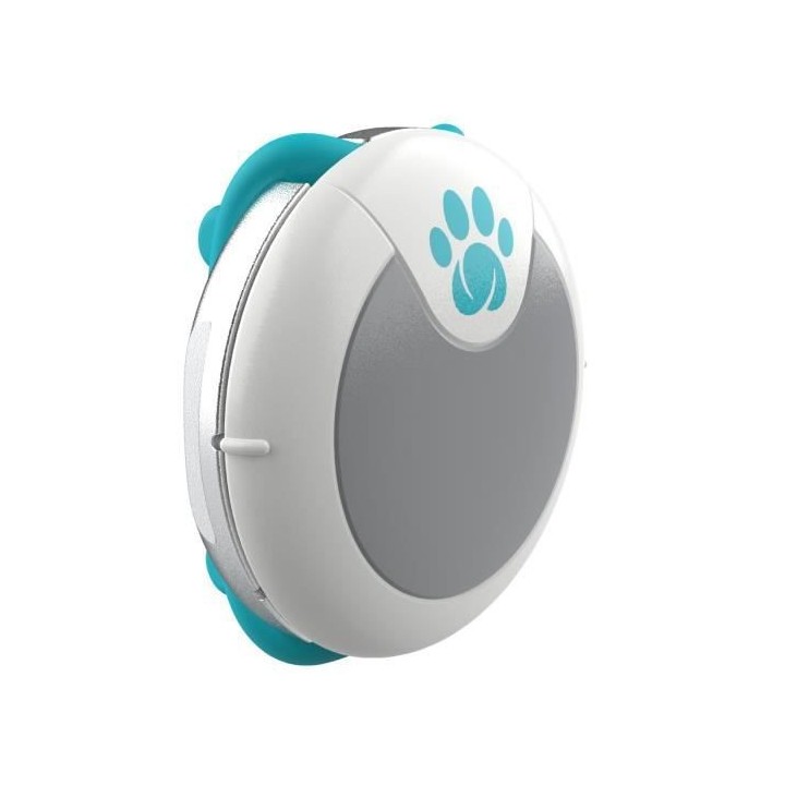ANIMO Traqueur d'Activités et Comportement pour Chien - Gris Clair -