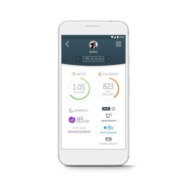 ANIMO Traqueur d'Activités et Comportement pour Chien - Gris Clair -