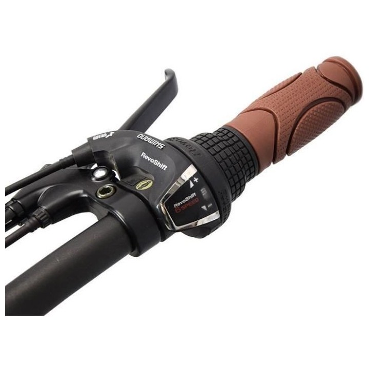 Vélo Électrique SURPASS SURVAEPLIANTN 20'' Noir 6 vitesses Pliant Ba