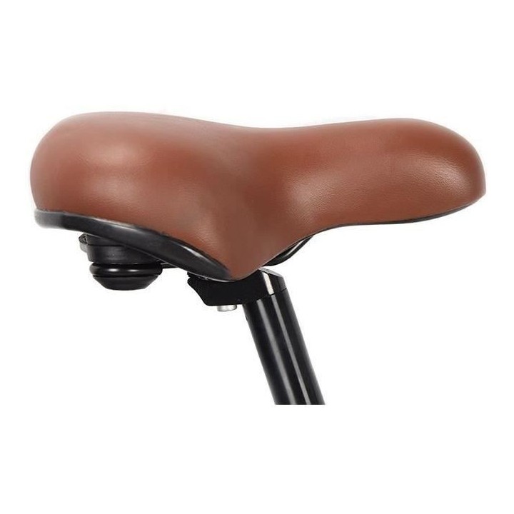 Vélo Électrique SURPASS SURVAEPLIANTN 20'' Noir 6 vitesses Pliant Ba