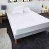 SWEETNIGHT Protege-matelas CHLoe AEGIS 100% coton anti-acariens 180x200 cm - Blanc