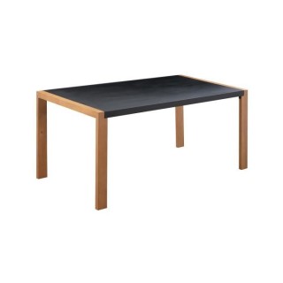 Table a manger de jardin - Acier thermolaqué + Pieds en bois + Trivan