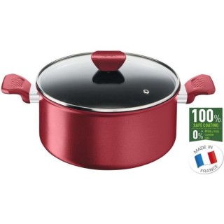 TEFAL G2734602 DAILY CHEF Faitout 24cm, Induction, Résistante, Antiad