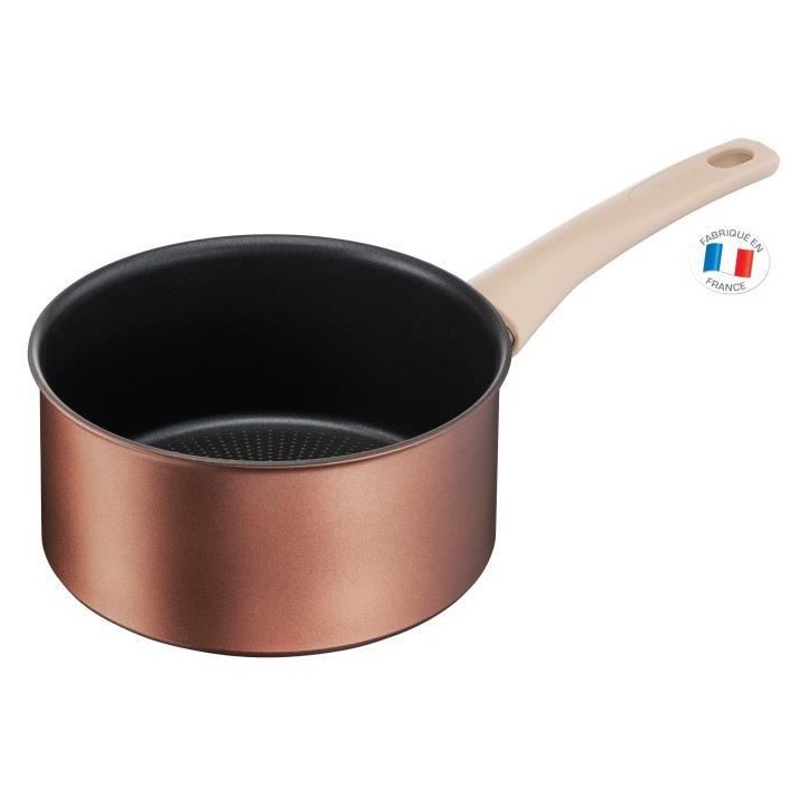TEFAL INGENIO L6859002 Performance Lot de 2 poeles 22/28cm + poignée