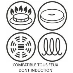 TEFAL G2550302 Poele 22 cm UNLIMITED Tous feux dont induction - Fabrication française - Noir