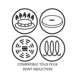 TEFAL G2550402 Poele 24 cm UNLIMITED Tous feux dont induction - Fabrication française - Noir