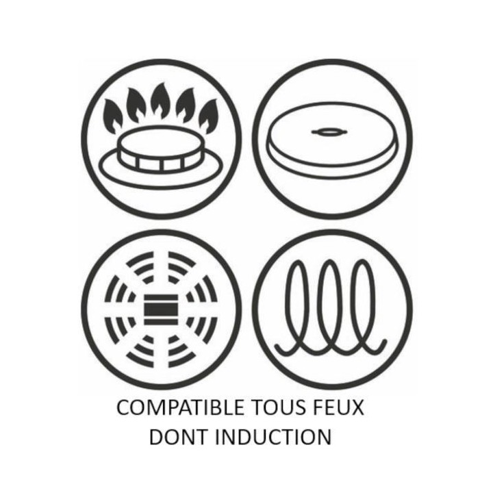 TEFAL G2550402 Poele 24 cm UNLIMITED Tous feux dont induction - Fabric