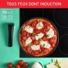 TEFAL L3983502 INGENIO DAILY CHEF Sauteuse 24 cm antiadhésive, tous feux dont induction