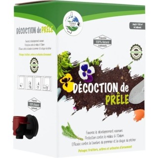 TERRA NOSTRA - Décoction de prele - Concentré - BIB 5 L