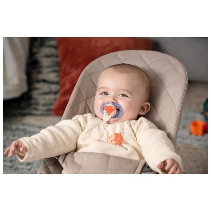 TIGEX 2 Sucettes Soft Touch Silicone Taille 6-18 m Ourson Chat