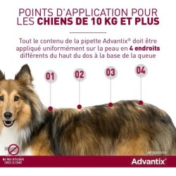 Advantix Chien Solution Antiparasitaire Tres Grande Race 40 a 60kg 4 pipettes