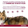 Advantix Chien Solution Antiparasitaire Tres Grande Race 40 a 60kg 4 pipettes