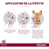 Advantix Chien Solution Antiparasitaire Tres Grande Race 40 a 60kg 4 pipettes