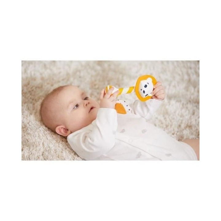 Tiny Love Hochet de Dentition Bébé Leonardo le Lion Naissance a 24 M