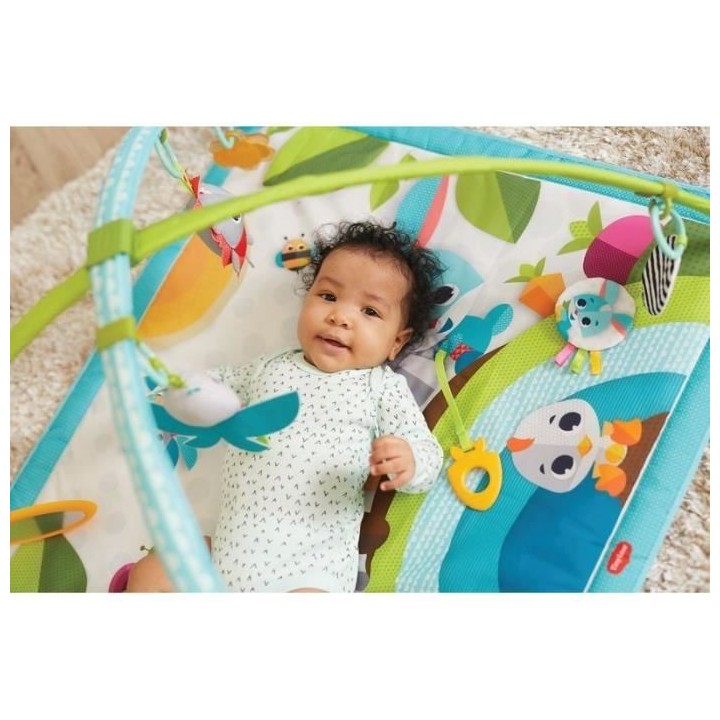 Tiny Love Sunny Day Tapis d'Eveil Bébé Musical avec Arches Ajustable