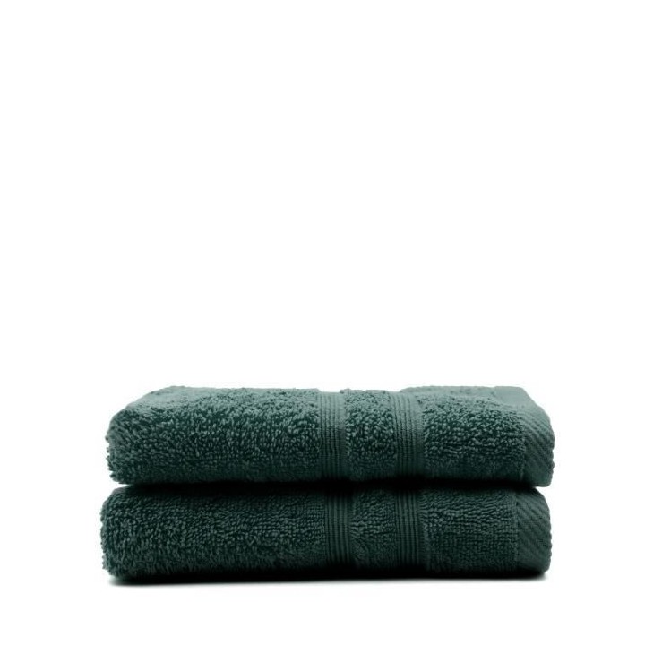 TODAY Lot de 2 Serviettes de toilette Émeraude - 100% Coton - 50 x 10