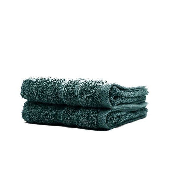 TODAY Lot de 2 Serviettes de toilette Émeraude - 100% Coton - 50 x 10