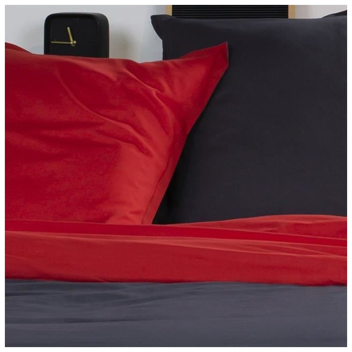 TODAY Parure de lit Coton 2 personnes - 200x200 cm - Bicolore Gris et