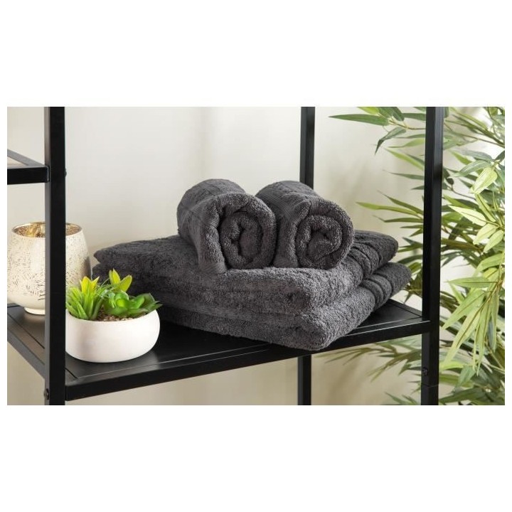 Lot de 2 serviettes de bain et 2 draps de bain 100% coton 500 GSM - TO