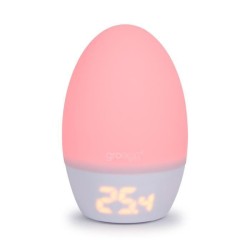 TOMMEE TIPPEE Thermometre numérique Groegg USB