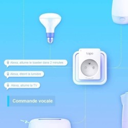 TP-Link Tapo Prise Connectée WiFi, compatible avec Alexa, Google Home et Siri, Commande Vocale, Contrôler a distance, Tapo P10