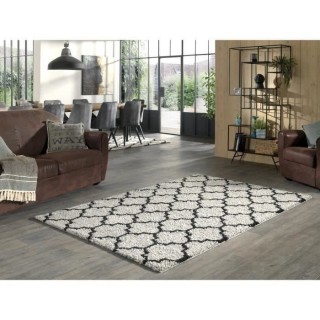 TRELLIS Tapis de salon Shaggy - Style berbere - 120 x 160 cm - Gris et