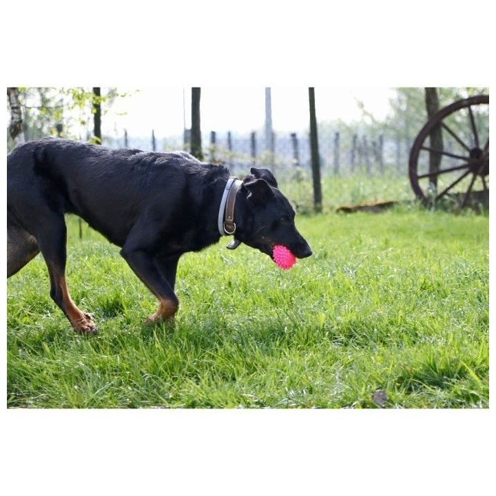 AIME Jouet hérisson vinyl 10cm - Pour chien